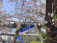 -南浦大桥长途旅游客运站