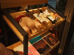 -蝦塘·中国餐馆(城墙南马道巷店)