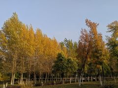 -莫子山公园