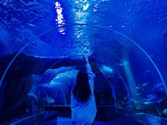 -多彩贵州城极地海洋世界