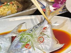 -京悦南门涮羊肉·羊蝎子火锅(田林路店)