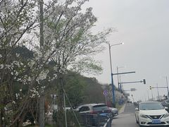 -东钱湖旅游度假区