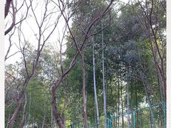 -上海佘山国家森林公园西佘山园