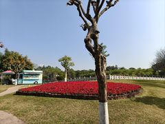 -广州莲花山旅游区