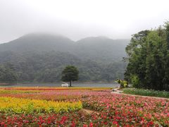 -广州市石门国家森林公园