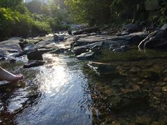 -重庆彩云湖湿地公园