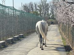 -意大利农场度假村