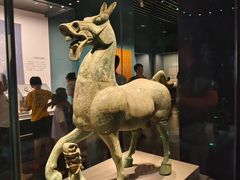 -广西壮族自治区博物馆