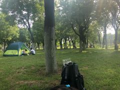-洨河生态公园