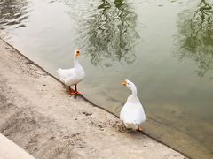 -北宫国家森林公园