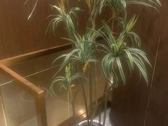 -正清和·推拿养生(二七广场店)