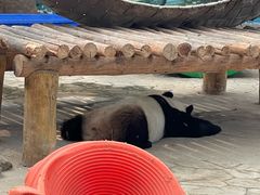 -沈阳森林动物园