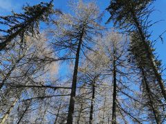 -硗碛藏寨·神木垒景区