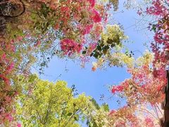 -深圳国际园林花卉博览园