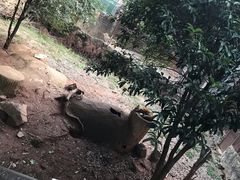 -南昌动物园