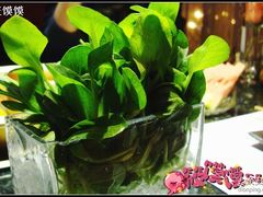 鸡毛菜-王家渡火锅店(棕榈泉店)