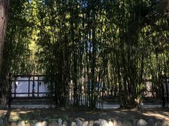 -蝴蝶泉公园