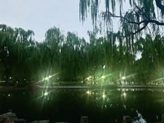 -玲珑塔公园