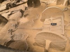 -洛阳周王城天子驾六博物馆