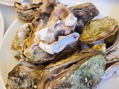 -碧中海汤泉汗蒸酒店