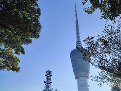 -梧桐山风景名胜区