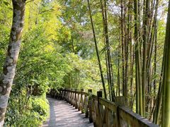 -广州市流溪河国家森林公园