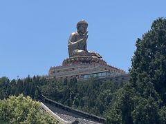 -龙口南山旅游景区