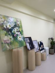 -斐尔国际皮肤管理中心