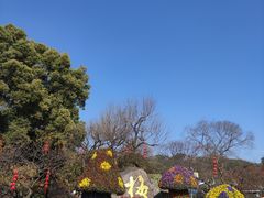 -无锡梅园公园