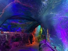 -沈阳海洋探索中心