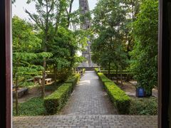 -上海佘山国家森林公园天马山园