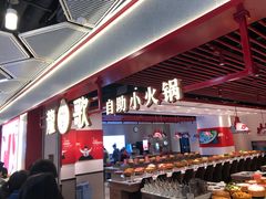 -龍歌自助小火锅(兰山上海路万达店)