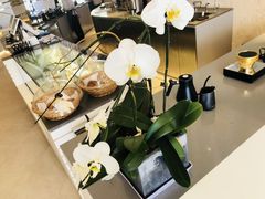 -Bracket Coffee(工体店)