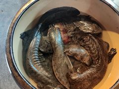 -印象鲵宴·张家界地标美食名片(溪布街店)