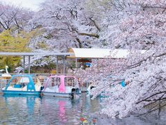 -井之头恩赐公园