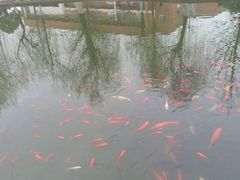 -西南民族大学南区(双流校区)