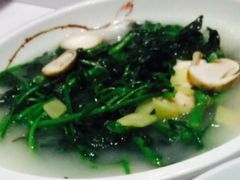 上汤西洋菜-稻香酒家·33年老字号·港式粤菜(富邦中心店)