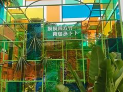 -西樵山风景名胜区-天湖公园
