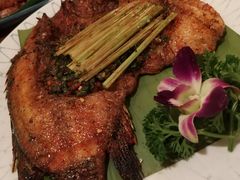 香茅草烤罗非鱼-紫滇源云南生态菜(丹凤街店)