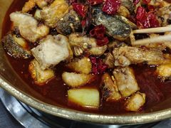 -涿派·炝锅鱼(涿州店)