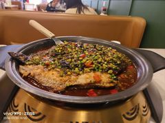 -锦尚阁烤鱼(望京新荟城店)