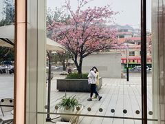 -奈雪的茶(东原悦荟店)