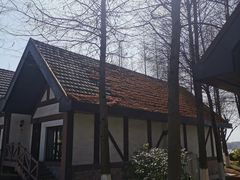 -太阳岛旅游度假区