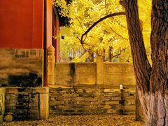 -大觉寺-停车场