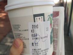 -茶颜悦色(岳麓山顶店)