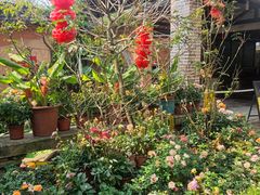 -园林美食城·本土农家菜(杨和镇店)