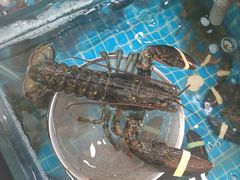 -渔码头食府(蓬莱阁店)