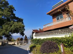 -东梓关景区村庄