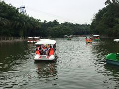 -广东茂名森林公园