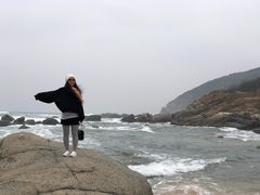 -东郊椰林